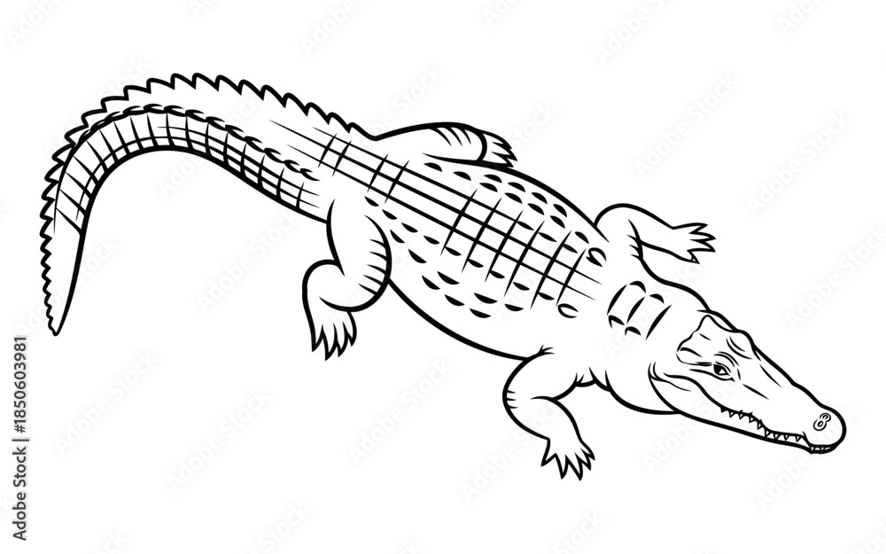 Naklejka premium A digital vector file concept showcasing its importance in graphic design and scalability