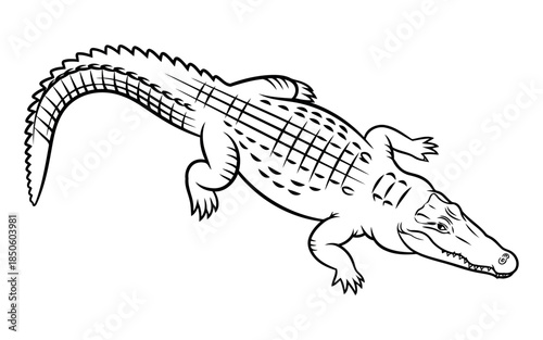 A digital vector file concept showcasing its importance in graphic design and scalability