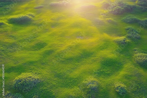 Aerial view of a sunlit green meadow with rounded grassy mounds and scattered shrub clusters, peaceful and bathed in golden morning light