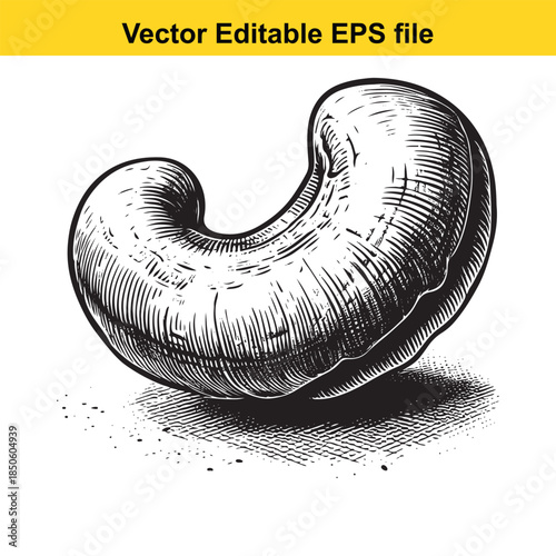  vector illustration of a sausage in a black and white sketch style with shading
