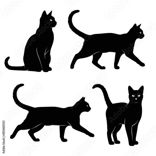 Four black cat silhouettes in various poses on white background.