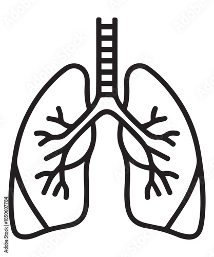 A detailed line drawing illustrating the anatomy of the human lungs and respiratory system