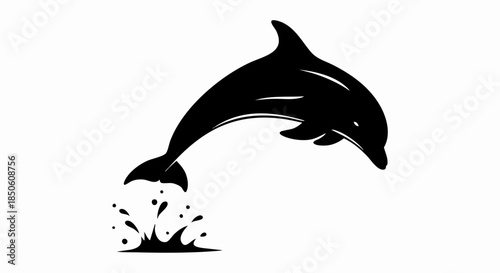 A sleek black dolphin leaping joyfully from the water.