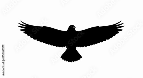 Majestic silhouette of a soaring bird with outstretched wings against white background.
