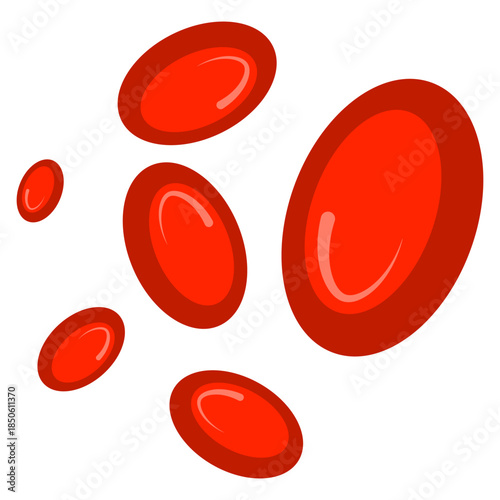 Red Blood Cells Illustration
