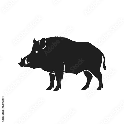 Silhouette of a Wild Boar with Prominent Tusks.
