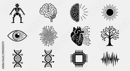 Would you like me to generate a few alternative variations of this description for different platforms?