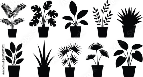 Silhouette potted plants, botanical icons, foliage shapes, indoor greenery, leaf variations, houseplant design, black vector, minimalist decor