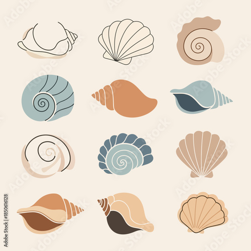 Collection of various sea shells.