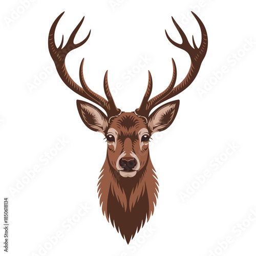deer head vector