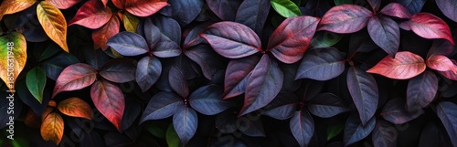 Vibrant Multicolored Leaves Creating a Rich Textured Background
