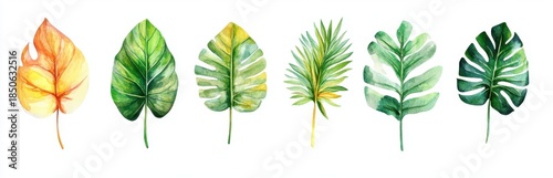 Colorful Watercolor Leaves Collection for Nature and Design Use
