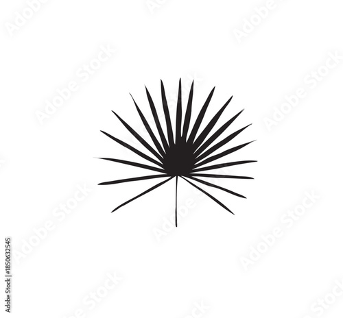 Tropical Fan Palm Leaf, Exotic Botanical Frond, Nature Decoration Element on an Isolated White Background