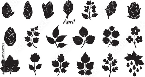 Black silhouettes of various leaves and flowers in April