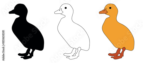 Duck vector illustration set showing silhouette, outline, and colored duck designs. Simple flat style bird illustrations suitable for farm, animal, nature, children, and graphic design use.