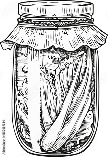 Hand drawn vector engraving illustration of a jar of fermented vegetables, kimchi food object