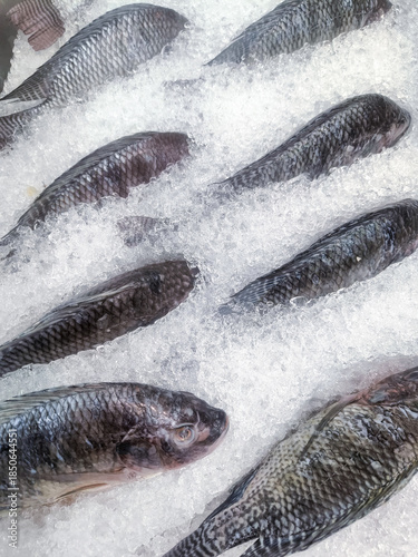 Fresh whole tilapia fish displayed on a bed of crushed white ice at a seafood market.