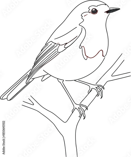 Minimalist line art of a robin perched on a branch with red breast detail