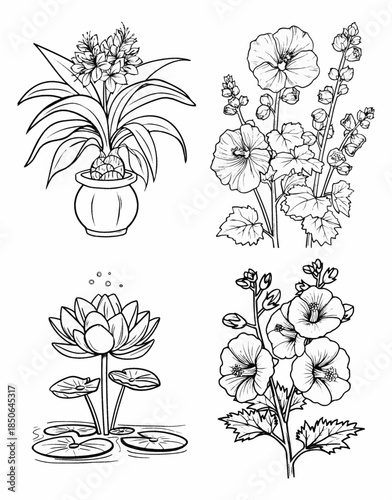 Black and White Illustrations of Various Flowers.
