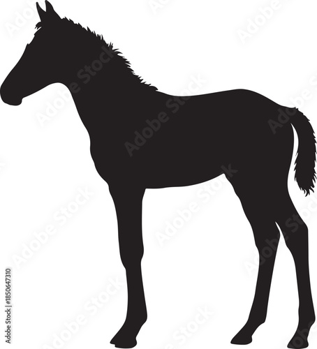 Cute Foal Silhouette, Baby hourse icon, Foal silhouette
