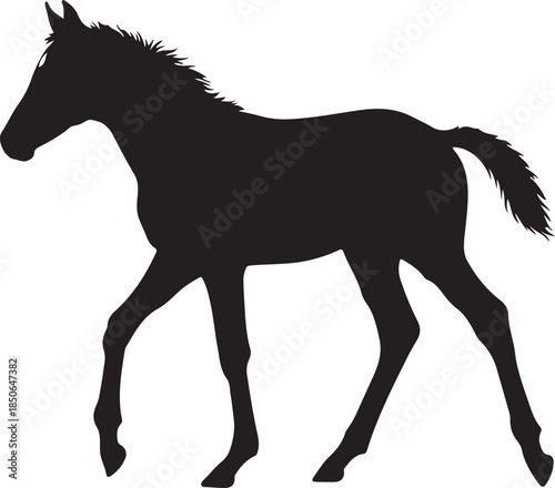 Cute Foal Silhouette, Baby hourse icon, Foal silhouette
