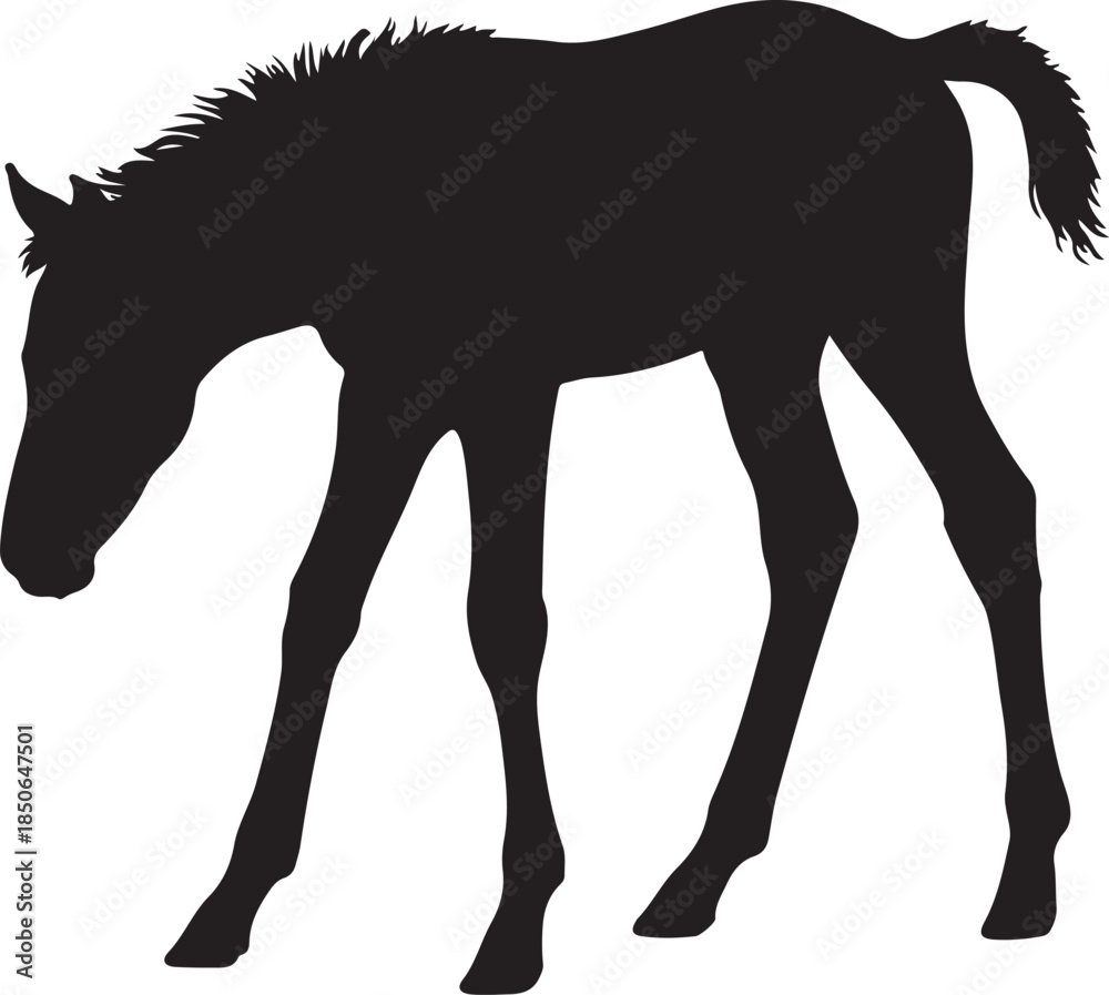 Obraz premium Cute Foal Silhouette, Baby hourse icon, Foal silhouette