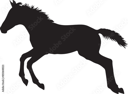 Cute Foal Silhouette, Baby hourse icon, Foal silhouette