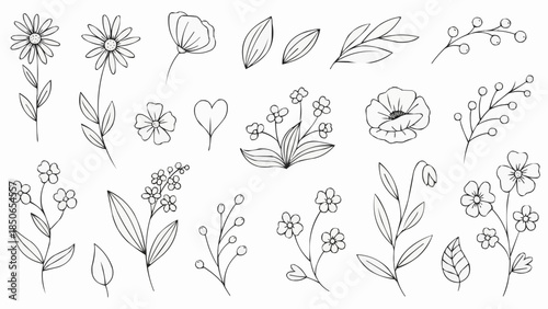 Collection of Hand Drawn Botanical Illustrations Delicate Floral Elements and Leaves.