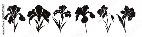 Wallpaper Mural  iris flower silhouette vector set iris flowers clipart bundle Torontodigital.ca