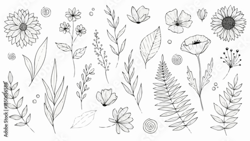 Hand Drawn Botanical Elements Collection Floral Leaves and Flowers Line Art.