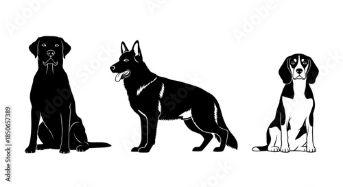 Three Dog Breed Silhouettes: Labrador Retriever, German Shepherd, and Beagle, Vector Illustration