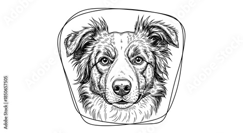 Detailed Black and White Sketch Portrait of a Border Collie Dog Head with an Abstract Frame