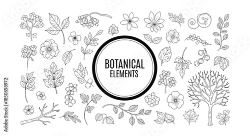 Large collection of various hand-drawn botanical elements including leaves, flowers, and trees arranged around a central circular label.