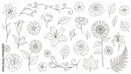 Collection of Hand Drawn Botanical Illustrations of Various Flowers and Leaves.