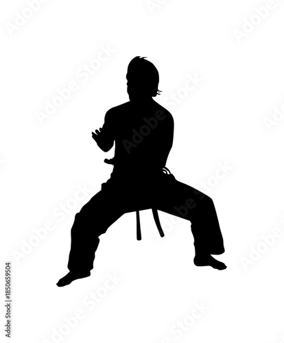 Silhouette of a disciplined karate practitioner performing a defensive stance or kata, isolated white background.