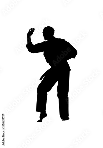 Silhouette of a Male Martial Arts Practitioner in a defensive stance, performing an open palm block with focused determination on an isolated white background.