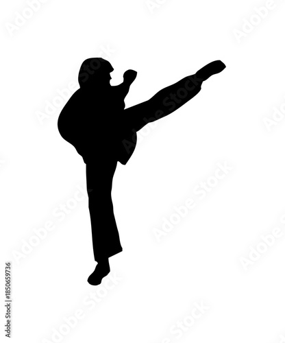 Silhouette of a Male Martial Arts Athlete delivering a powerful high side kick, demonstrating agility and balance on an isolated white background.
