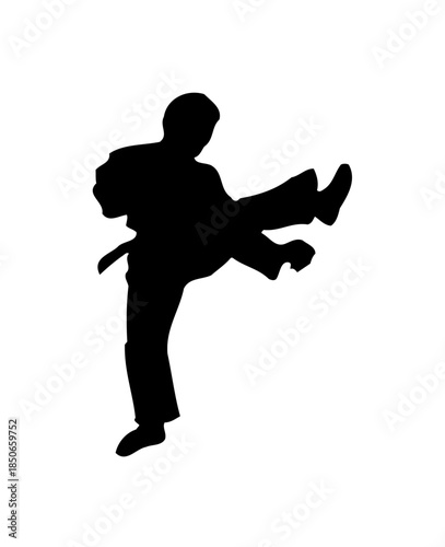 Silhouette of a Male Martial Arts Practitioner executing a low kick or defensive sweep, showing grounded technique on an isolated white background.
