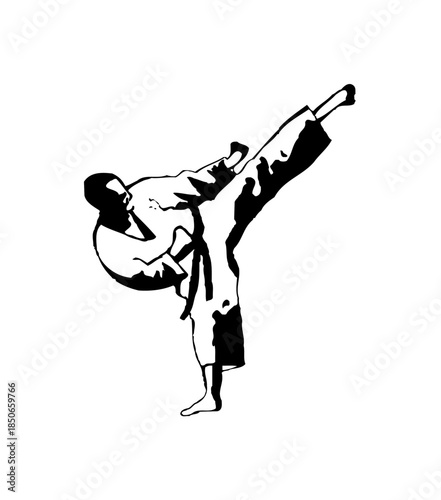 Detailed Silhouette Illustration of a Male Martial Arts Fighter performing a dynamic high front kick, depicting traditional skill on an isolated white background.