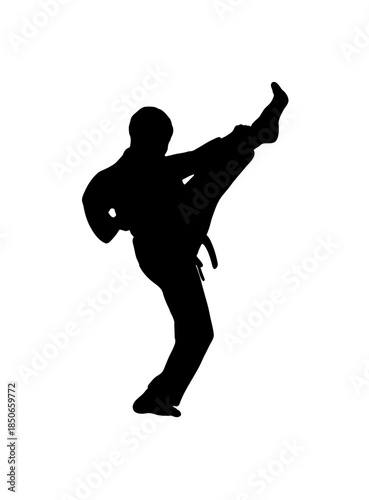 Silhouette of a Male Martial Arts Practitioner executing a precise high front kick, showcasing discipline and strength on an isolated white background.