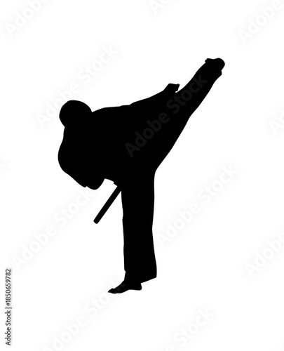 Silhouette of a Male Martial Arts Fighter performing a powerful high back kick, demonstrating flexibility and control on an isolated white background.