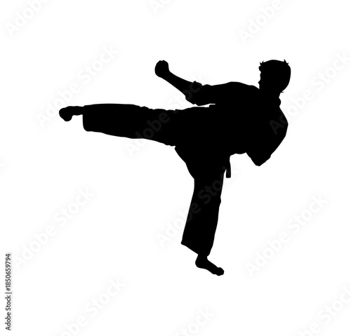 Silhouette of a Male Martial Artist in a gi executing a horizontal side kick, showing focus and power on an isolated white background.