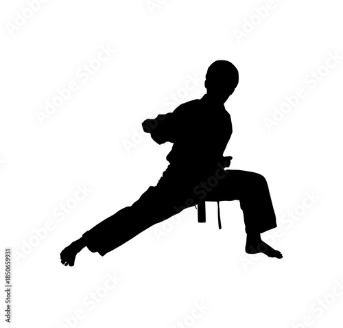 Focused Male Martial Artist in a Classic Horse Stance Performing a Powerful Punch on an Isolated White Background