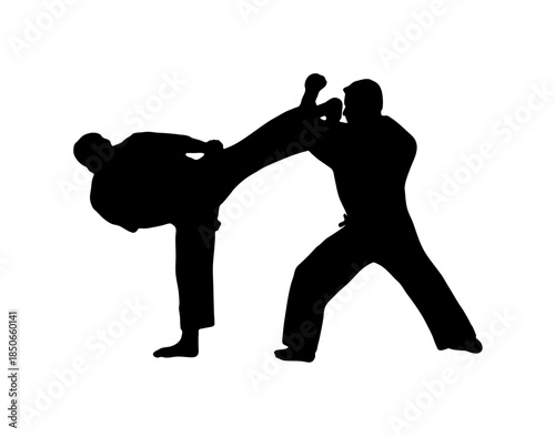 Two martial artists executing a powerful high kick and defensive maneuver in combat, isolated white background.