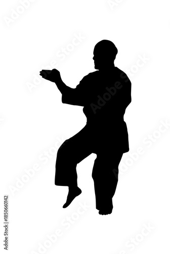 A prepared martial artist in a defensive stance, hands up, ready for combat, isolated white background.