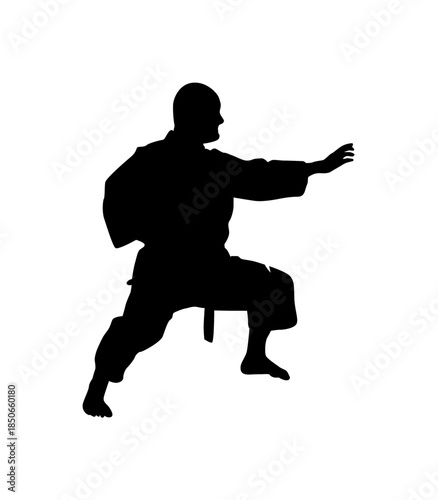 A focused martial artist in a traditional karate stance, ready for action, isolated white background.