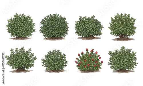 Realistic green garden bushes and decorative shrubs set for landscape design