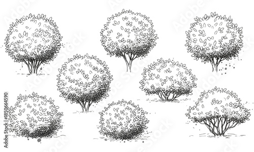 Collection of round green garden trees and shrubs icons set