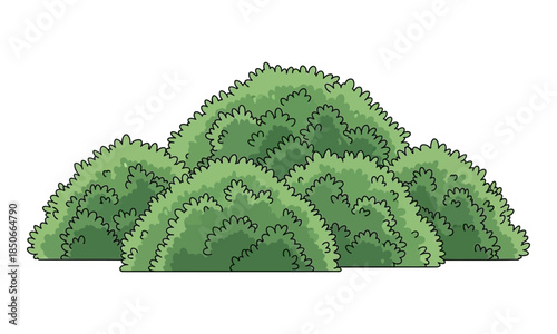 Lush green garden bushes and shrubbery isolated on white background