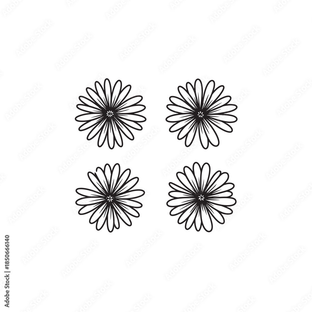 Obraz premium Heath Aster Vintage Style Garden Illustration Creative Line Art